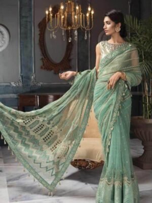Aayra Net Embroidered Saree