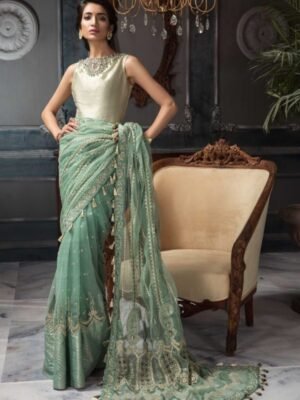 Aayra Net Saree
