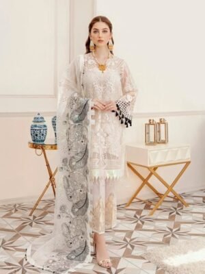 Chiffon Dress Master Replica