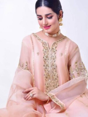 Party Wear Organza Replica